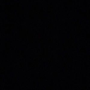 Meet your Posher, Dennis